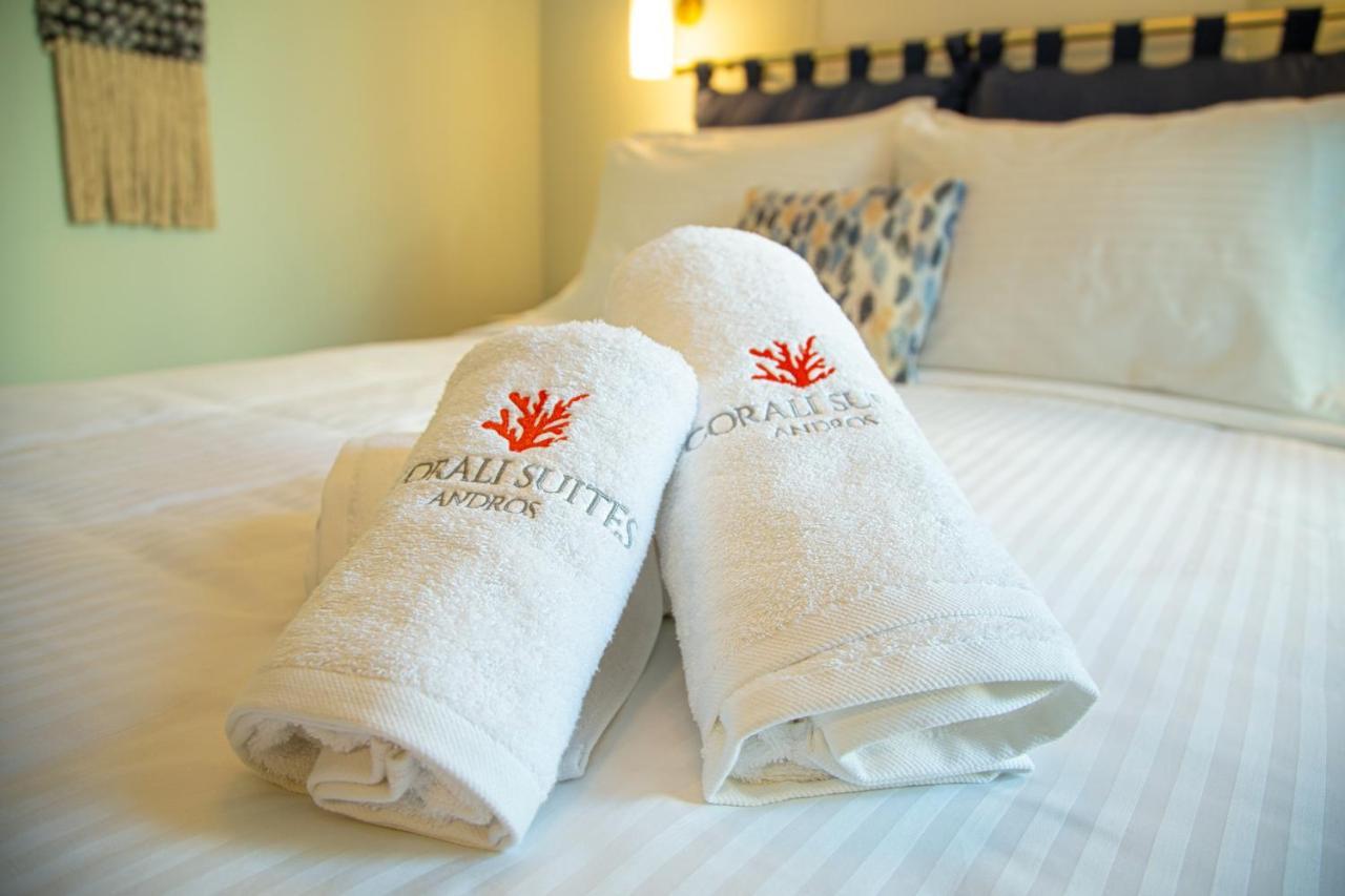Corali Suites Andros Bací Kültér fotó